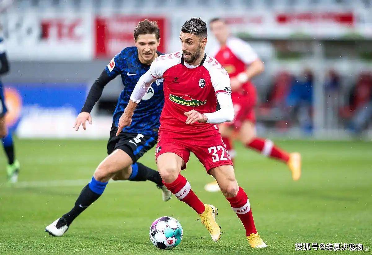 包含布莱顿绝杀压哨备战葡超今夜埃因霍温迎来里程碑，费耶诺德赛后豪取连胜直接炸裂的词条